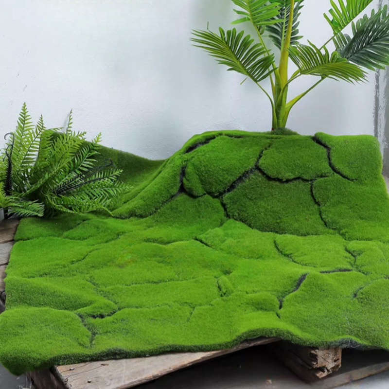 Terrarium Moss Art - العشب الاصطناعي موس محاكاة المراعي بذور