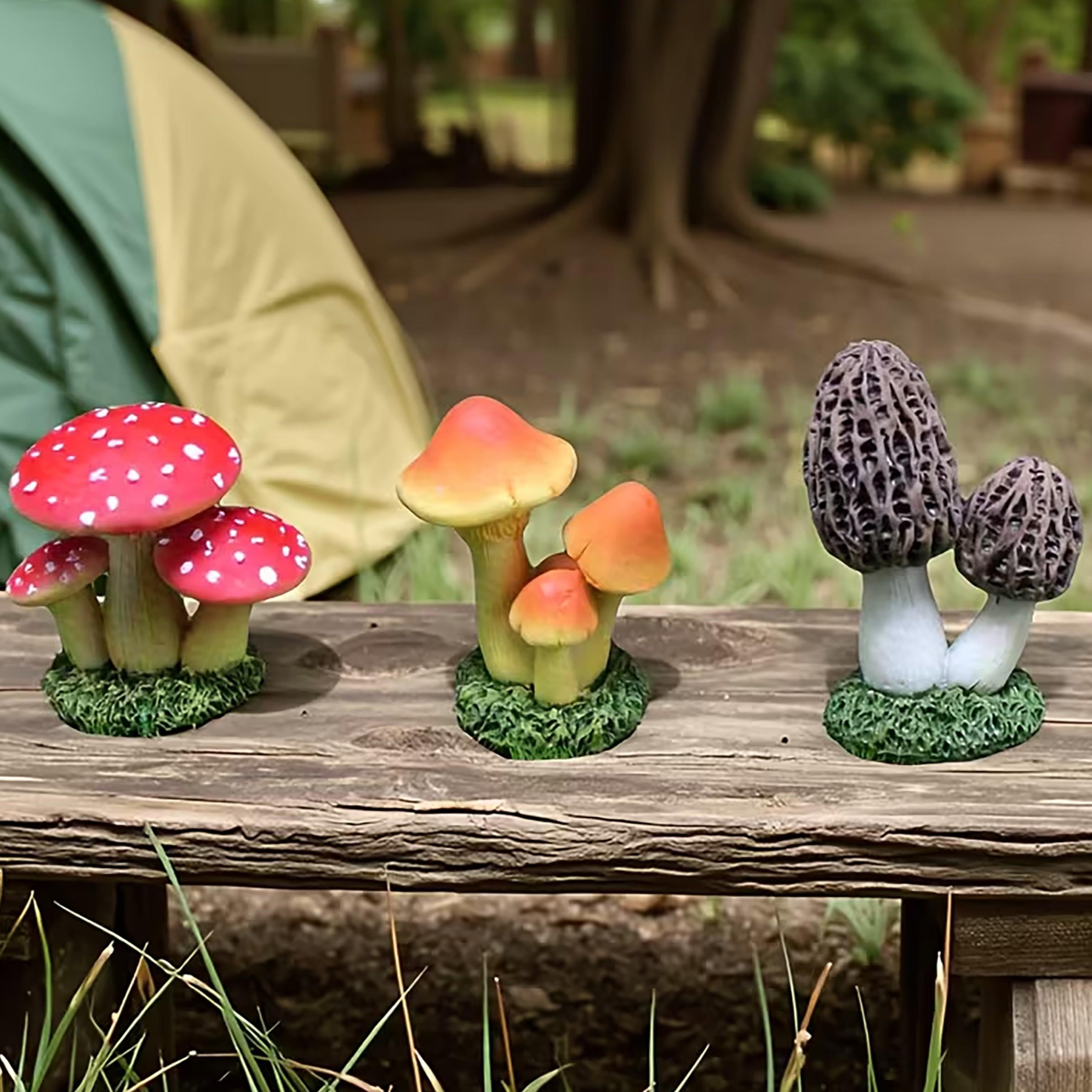 Terrarium Moss Art - مجموعة من 3 قطع زينة فطر
