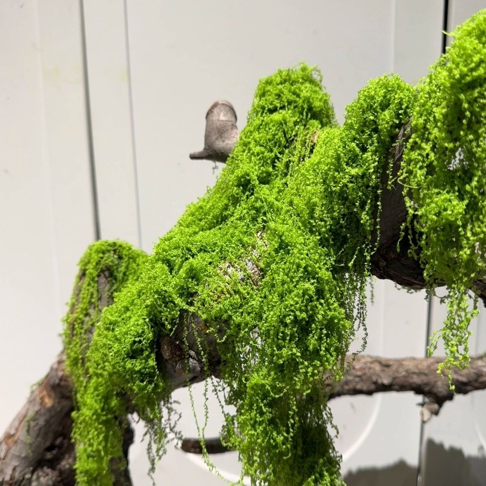 Terrarium Moss Art - نباتات طحلب صناعية من البوليستر للحرف