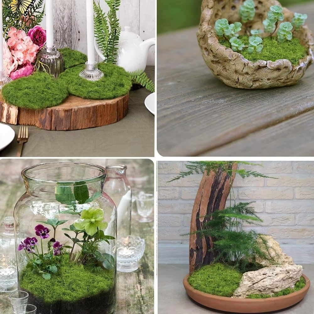 سجادة عشب صناعي للتركيب الذاتي - مراجعة Terrarium Moss Art وسعره