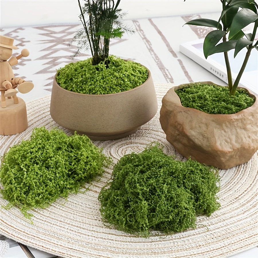1 حزمة الطحلب الاصطناعي وهمية  - مراجعة Terrarium Moss Art وسعره