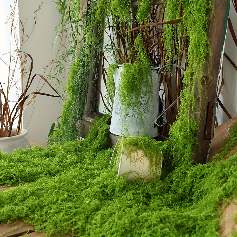 1 حزمة الطحلب الاصطناعي وهمية  - مراجعة Terrarium Moss Art وسعره