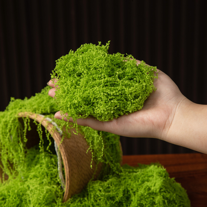 عشب الحياة الأبدية 200 جرام، ن - مراجعة Terrarium Moss Art وسعره