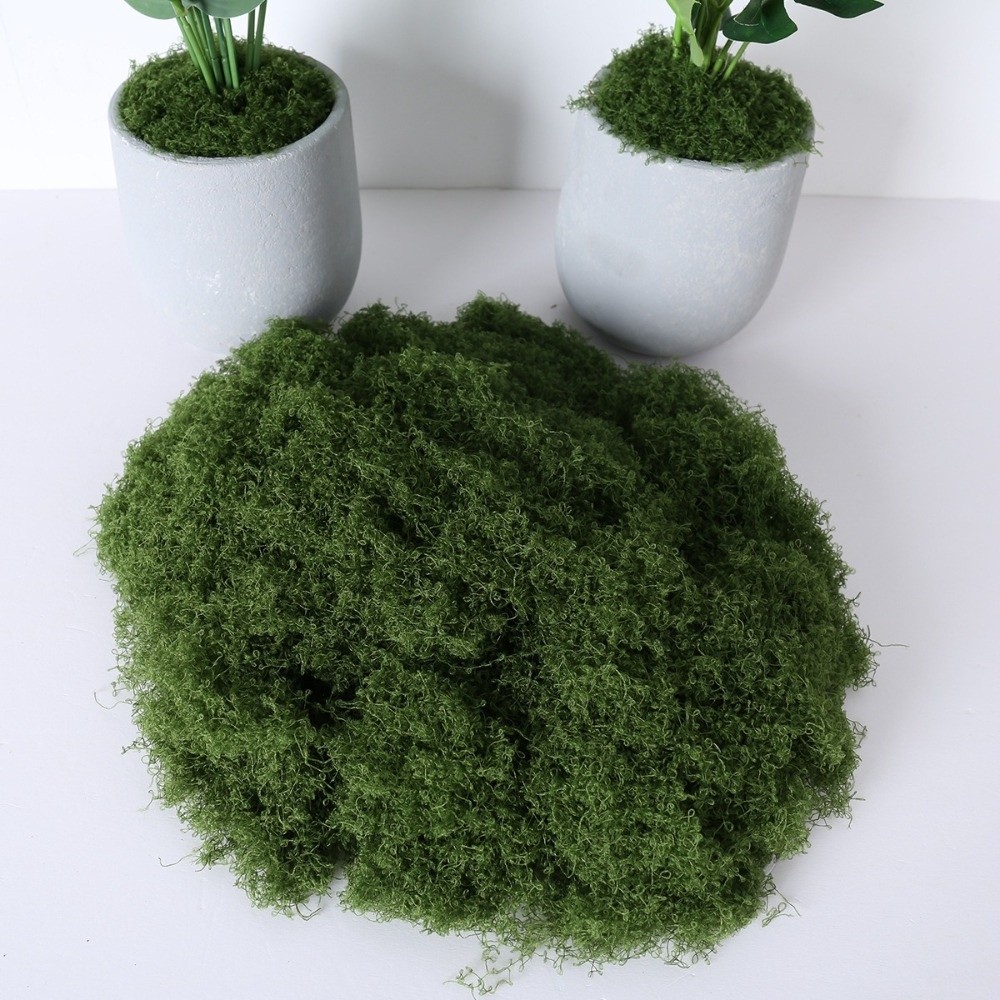 نباتات طحلب صناعية من البوليست - مراجعة Terrarium Moss Art وسعره