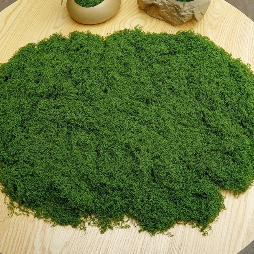 نباتات طحلب صناعية من البوليست - مراجعة Terrarium Moss Art وسعره
