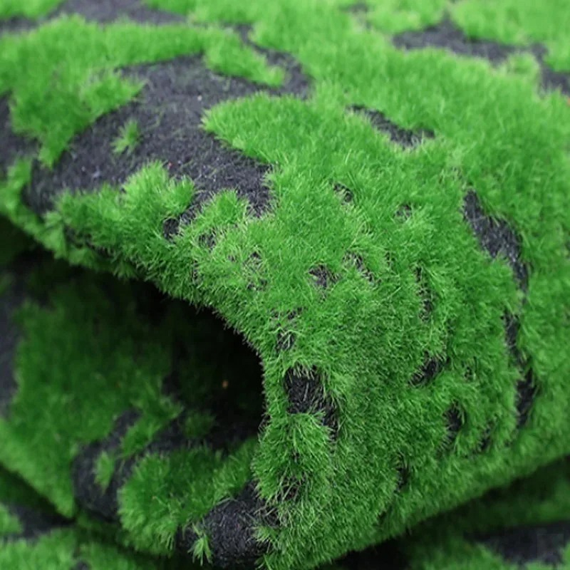 سجادة عشب صناعي 50×50 سم، عشب  - مراجعة Terrarium Moss Art وسعره
